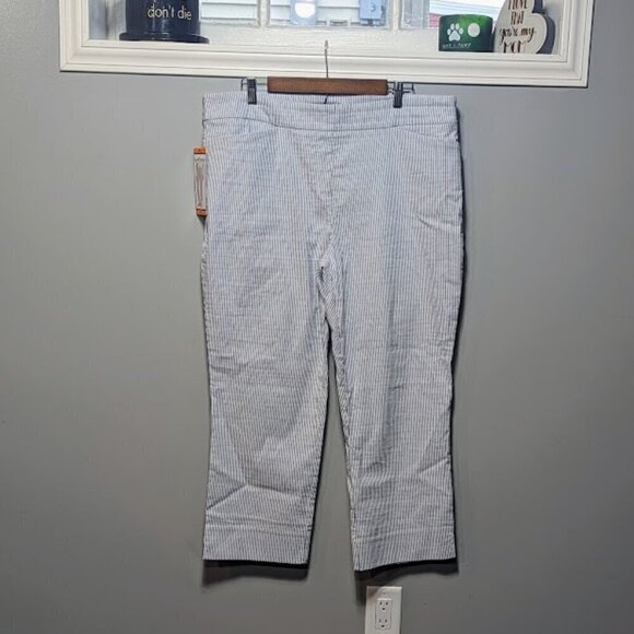 NWT  Hilary Radley Tummy Control Navy and White Striped Pants Size XXL - Picture 1 of 7